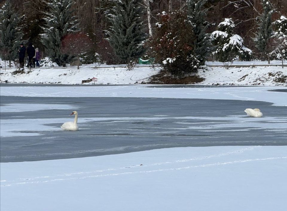 ����� ��������: ���� ����� � � �������� ������, ��� ������ ������� �� ����