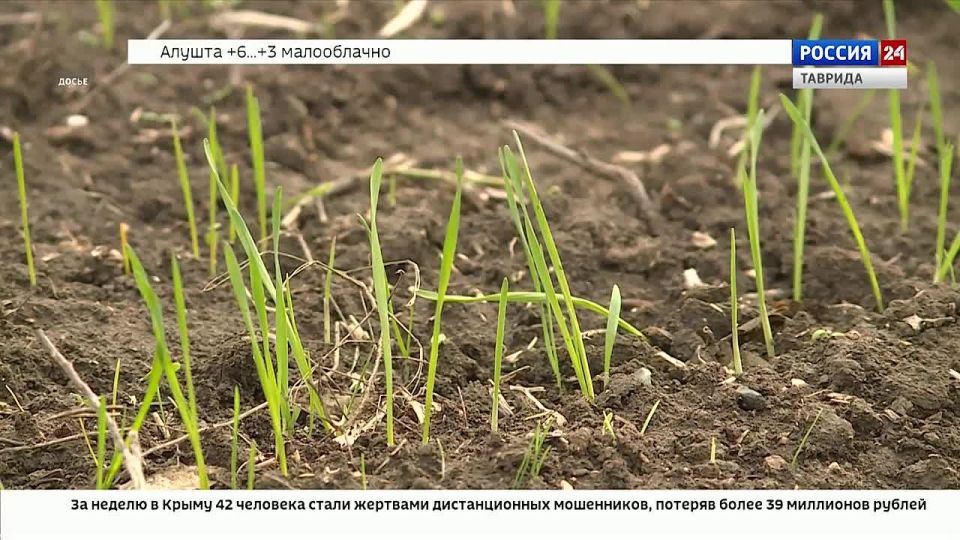 ��������� ������ ����������� �������� �� �������� �������� � ������ ��������