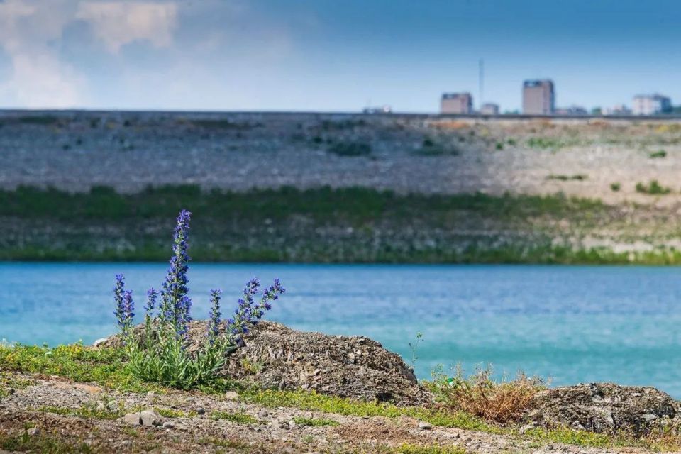 � ������ ���� �������� ������ ��������� ������������� ����� ����� ��� �� 62 �������� "�����"