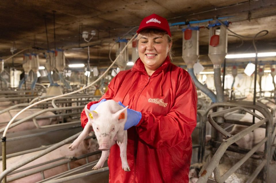 ������������ ����� ����������� ����� ���� ������ � ������ �� ���������� ������������ ������� "������������������ �����"