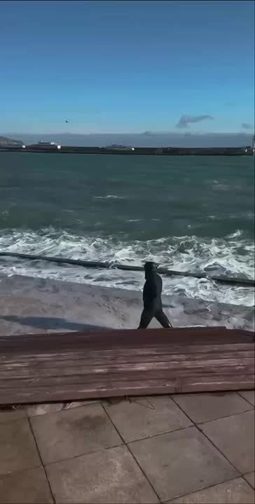 ������ ������ ���� ����� �������� ������ ������� ��������