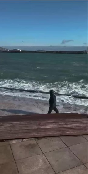 ������ ������ ���� ����� �������� ������ ������� ��������