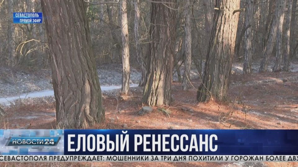 �� ������� ����� - � ����� ��������