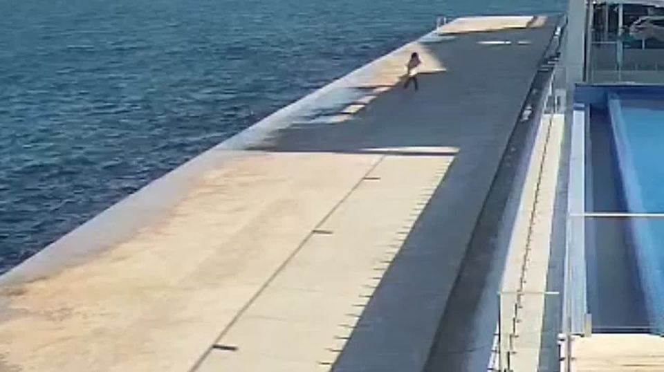 ��������� ���� �� ������ � ���� �� ���� ����������� � ����� ����������� �� ����