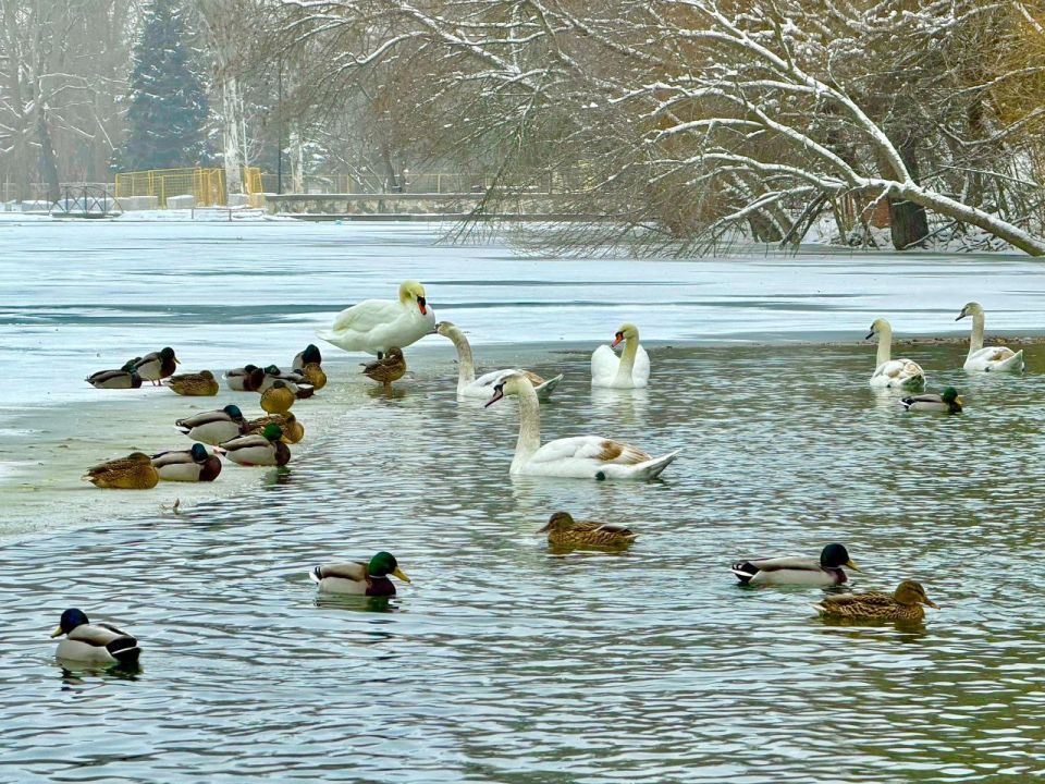 ��� ����� ����� �������� ��������� ������ ������?