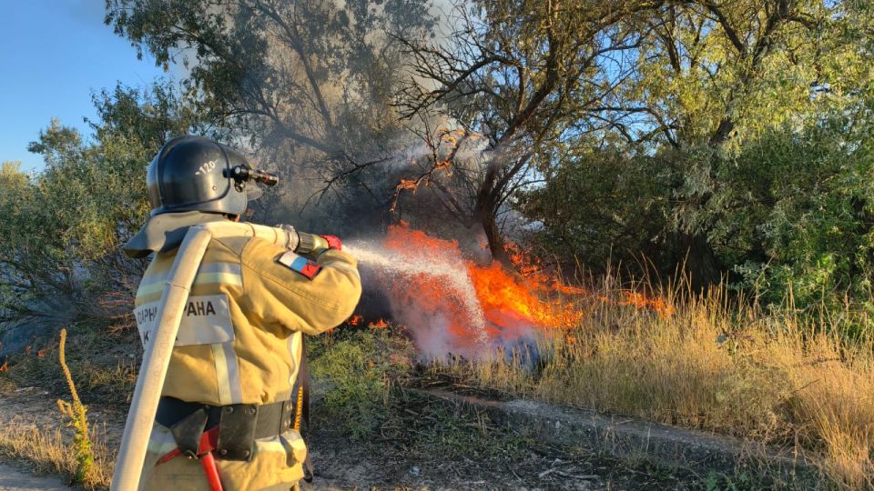 Алексей Ерёменко: 11 лет со дня образования ГКУ РК «Пожарная охрана Республики Крым» Алексей Ерёменко: 11 лет со дня образования ГКУ РК «Пожарная охрана Республики Крым»