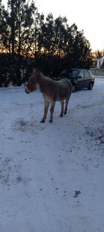 ������, ������� ��������� �� ����������, ������� � ���� ��������� ���������������� ������