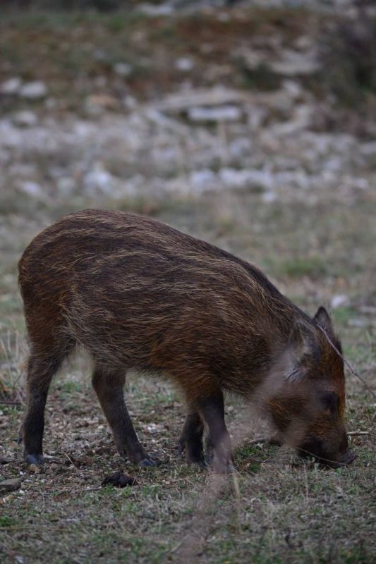 ����� �������: ��������� ������� ����� � ��� ���������