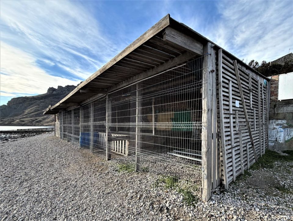 �������� ���������� � ��������� 31 ��������������� �������