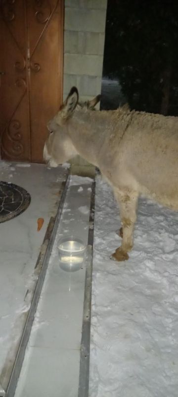 ������, ������� ��������� �� ����������, ������� � ���� ��������� ���������������� ������