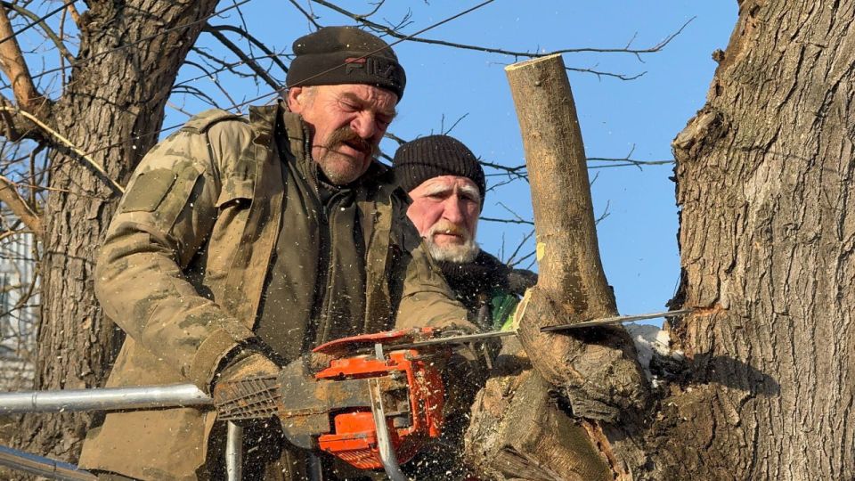 В Керчи продолжается плановая работа по уходу за деревьями В Керчи продолжается плановая работа по уходу за деревьями