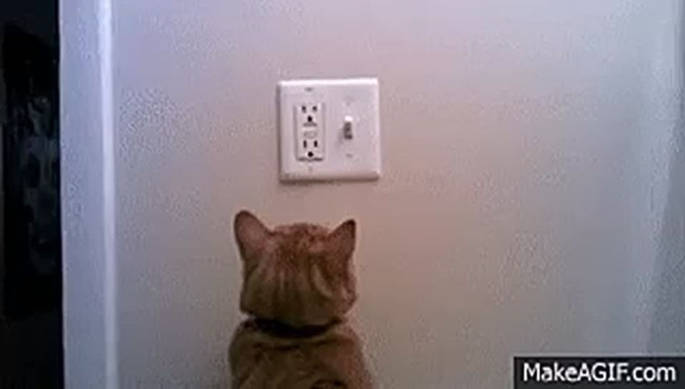 ��� ���������� ������ � ������������ ������ ������ ��� �����