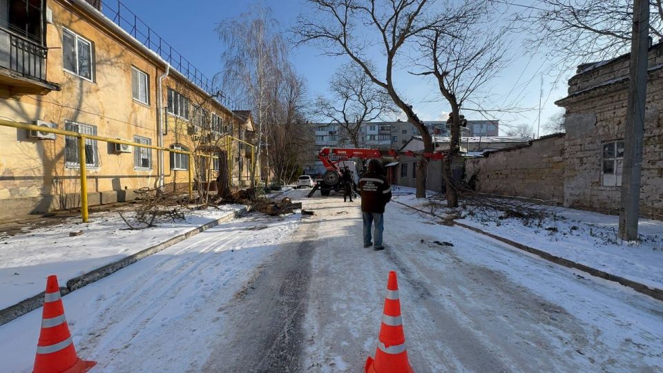 В Керчи продолжается плановая работа по уходу за деревьями В Керчи продолжается плановая работа по уходу за деревьями
