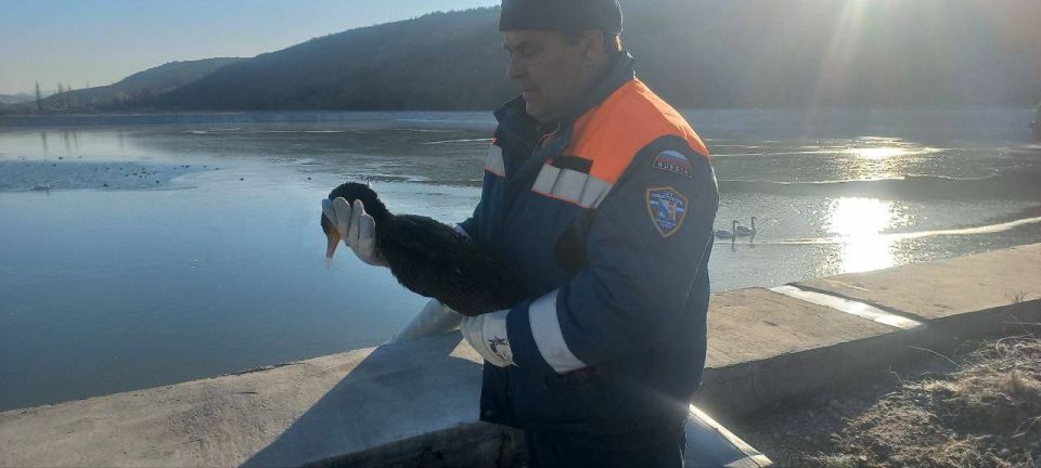 ���������� �� ���� ������� � ������� ������ � �����������