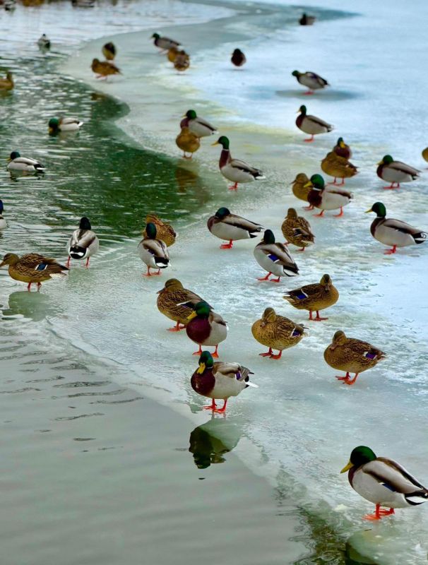 ��� ����� ����� �������� ��������� ������ ������?