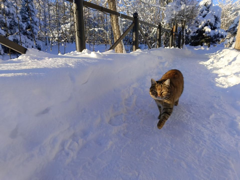 Прогноз погоды в Крыму на 21 января