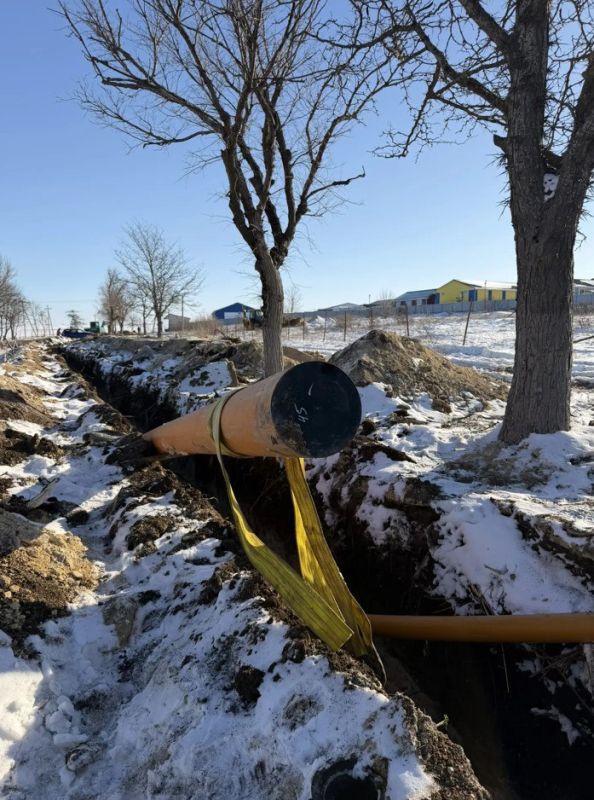 ����������� �.������� ���������������� ������