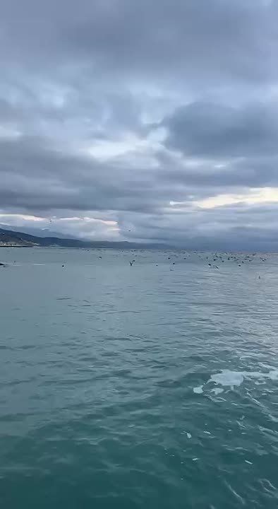 ������ ���������!. ����������, ����� ������ ���� ���� ������� � ������!