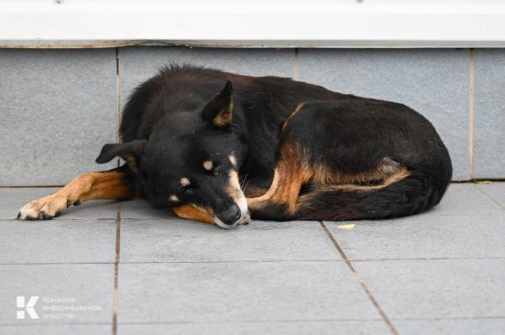 � ����� ���������� �� ������ ��� ������ ������������ �����