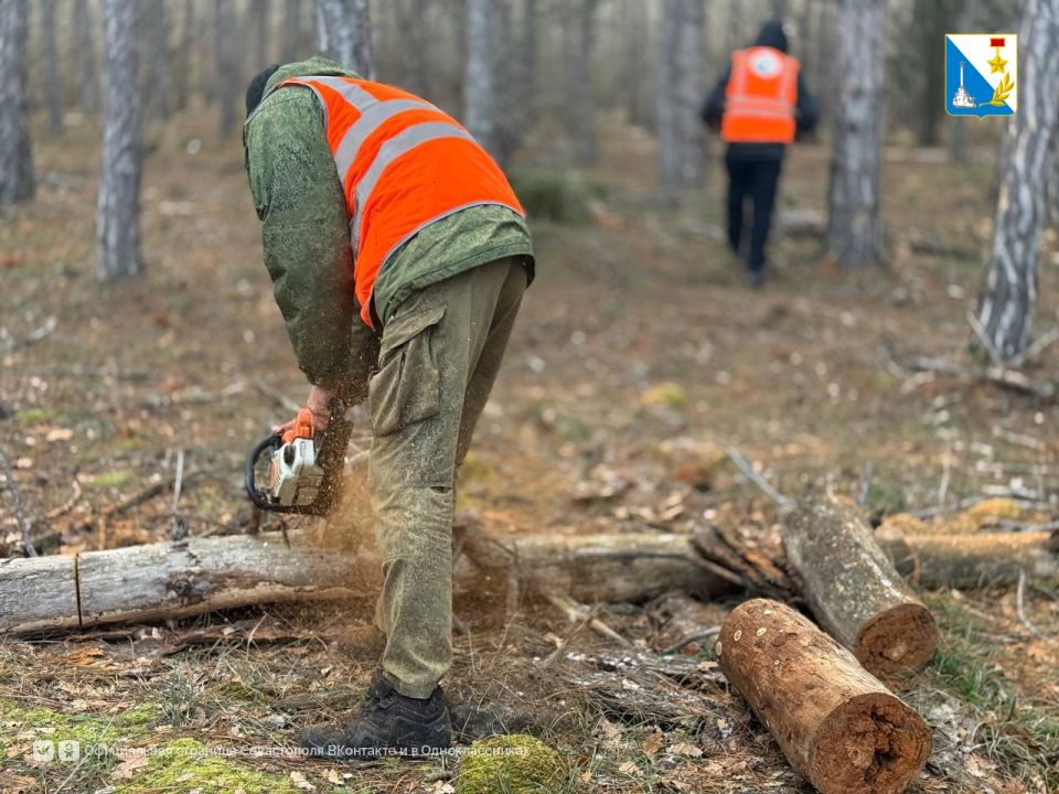 � ������������ ����������� ������� ����� ���������