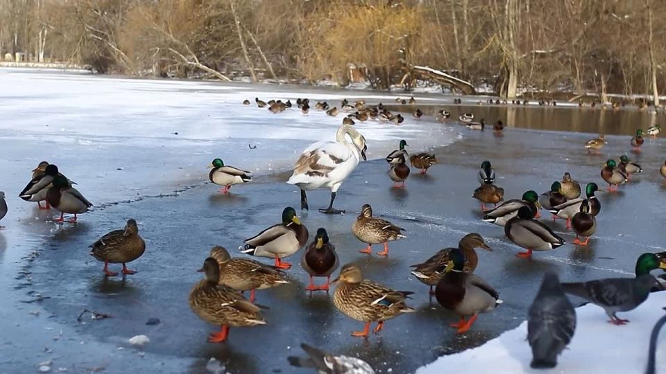 ������ � ������������� ������ � ������ ������