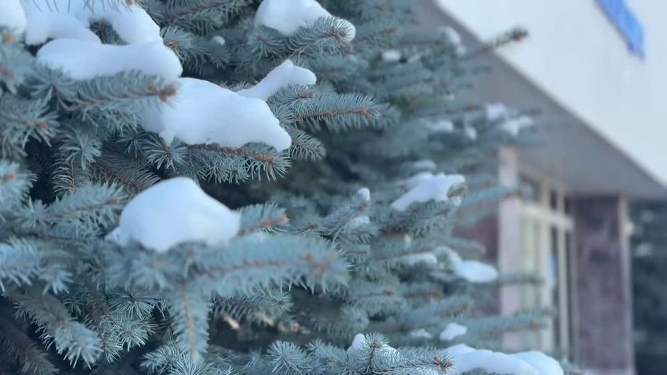 � ��� �� ���������� ���� ����������� ��������� ������������� ������: �������� ������� �������� ���������� ����������� ��������� �� ���� �������� ����������� �������������