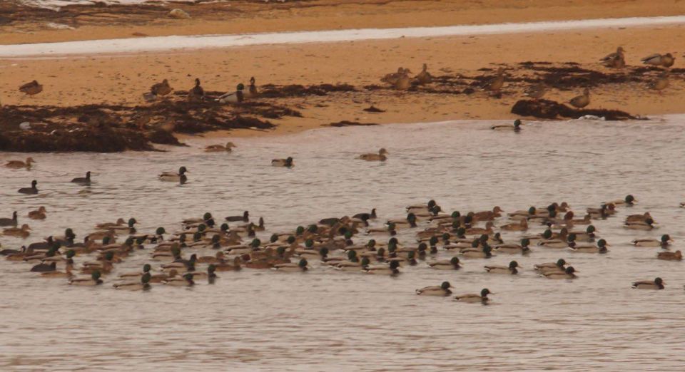 ��� ��������� ���������� ����������� ���������: �������� ����, ���������, �����-���������, ������, ������� ���, ����� ���������, ������� � ������