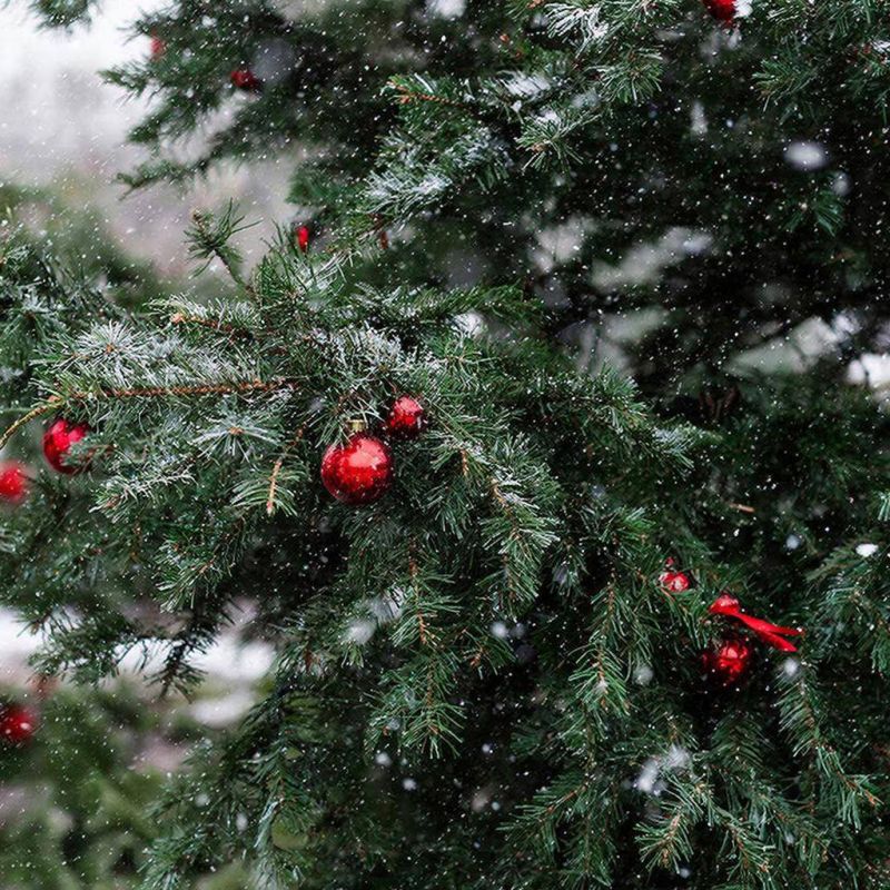 ����� ������ ��� ������� � ������ ����� 22 ������