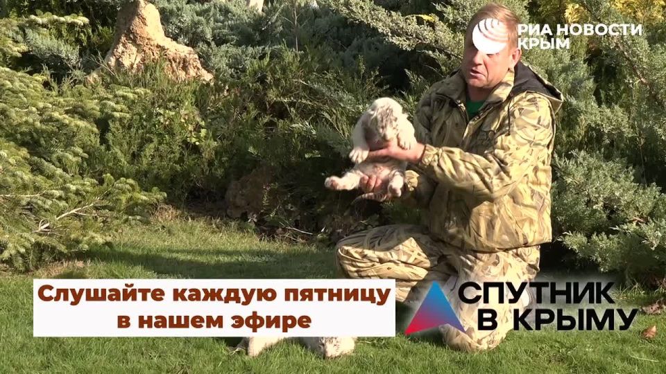 ��� �������� ������� ����� ������� � ������������� � ���� �� ����� �����? ��� �������� � ������ ���, ���� �� ���������?