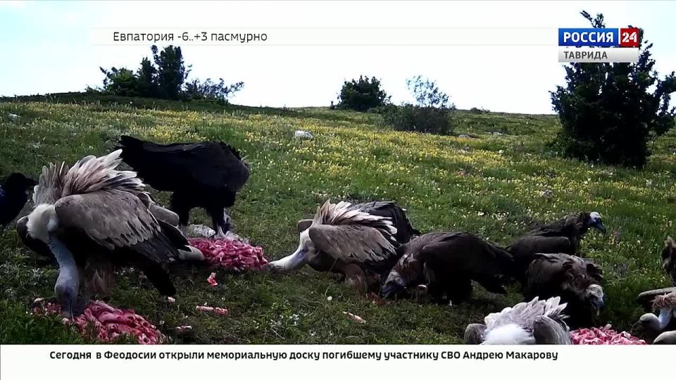 � ����������� ������������ ����� ������� �������� ������� �����