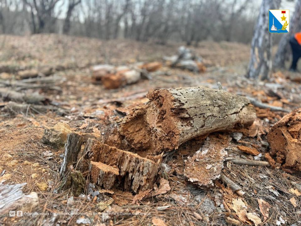 � ������������ ����������� ������� ����� ���������