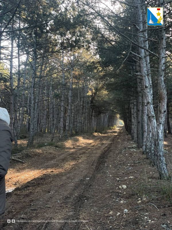 �� �������� � ��������������� ����� ��������� ������ ����������� �����������, ���, ������� � ����������