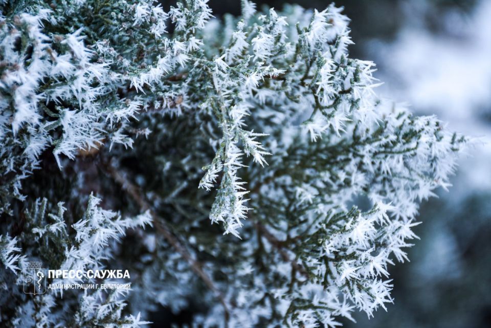 ������ ������ � ���������: ����� � ����� ��������