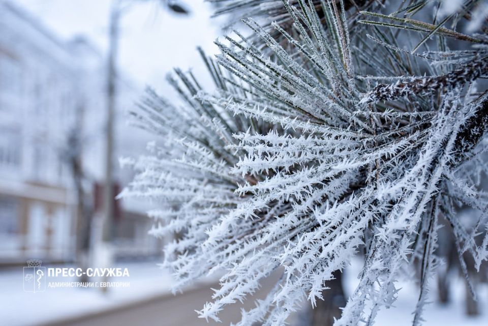 ������ ������ � ���������: ����� � ����� ��������