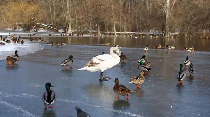 ��������������� ������� � ���� ������������� ������ � ����