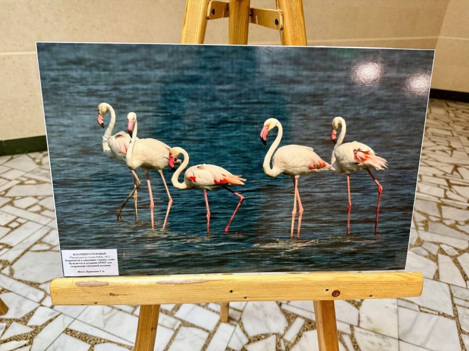 � ����������� ����������� ����� ������� ������� ����� ���������� ����