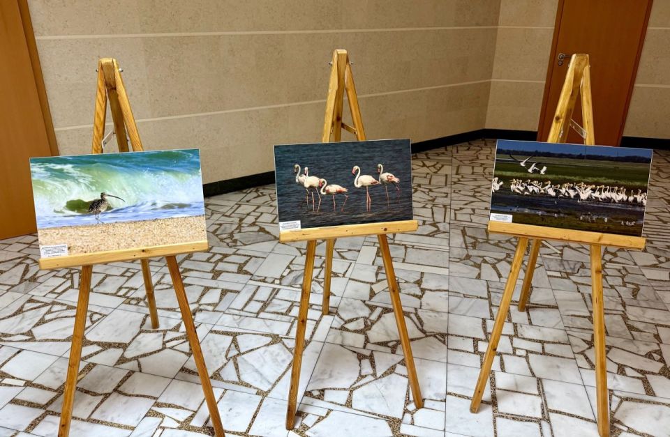 ������ ������� ������� ����� ���������� ���� ������������ ��������������