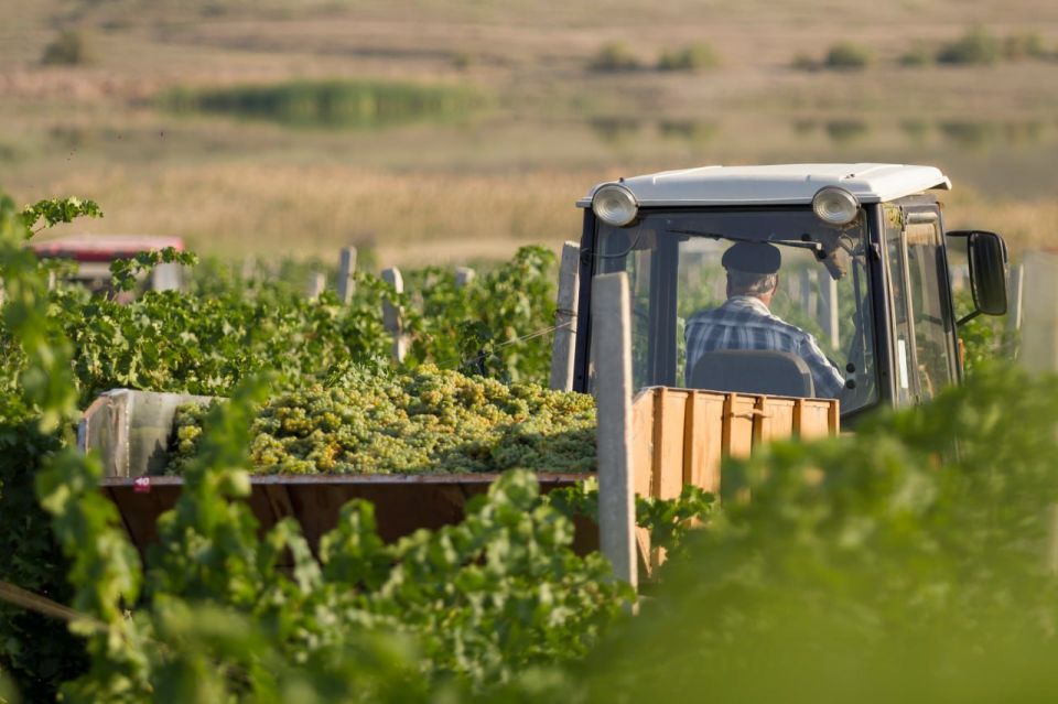 ���� ���������� ���������� � ������������������: �� 11 ��� ������� ����� 54 ���� ������