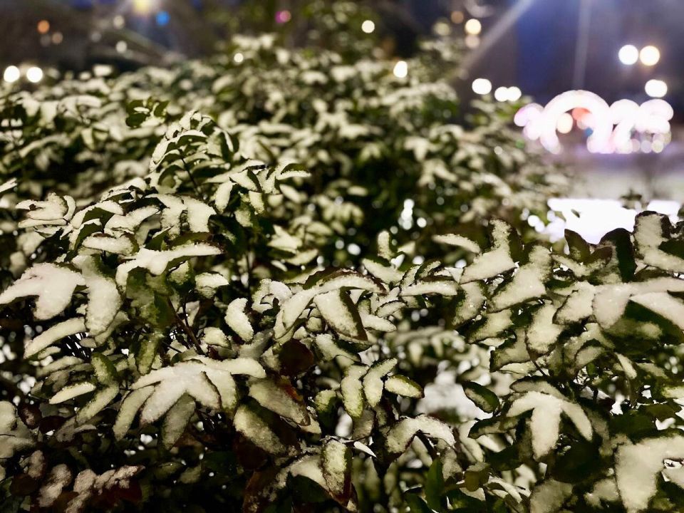 � ������ �����, �������!. ������ ��� � ��� ���� ��������, �������� ������������, ������� � ����� � �������� �������! ����� ������ �������� ������� ��� ���, ������� �������� ��������� � ������� �����! ������� � ��������...