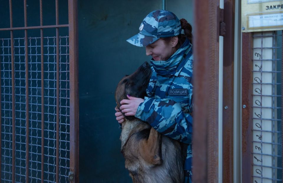 �������� �������. ����� ������: ������������ ��������� ��������������� �������