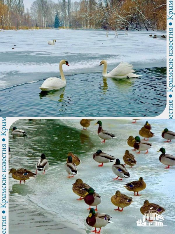 ���� � ������� � ����������� ����� �������� ������ �����