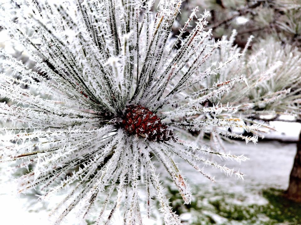 � ������ �����, �������!. ����� ������� �������� � ������ � �����������