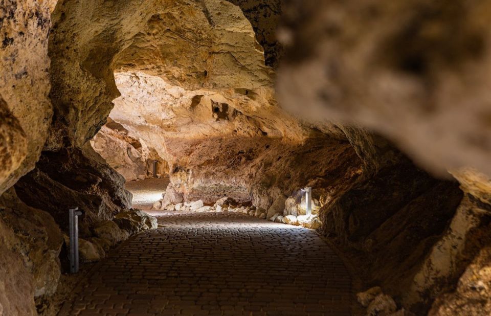 ������ ����������� ����� ���� ���������� ��������� ������� ������ ���������, �� �������� ������ � �������