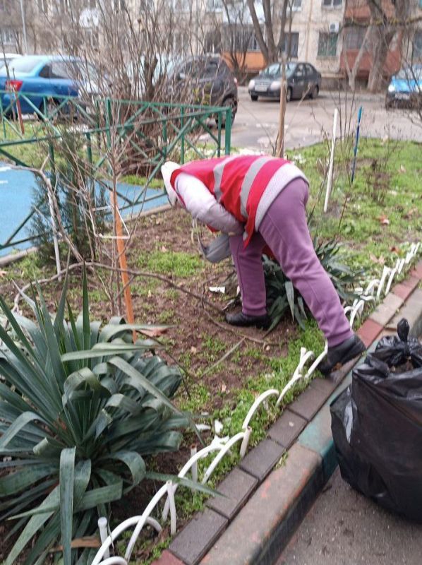 5 бригад рабочих ежедневно заняты очисткой межквартальных муниципальных пространств 5 бригад рабочих ежедневно заняты очисткой межквартальных муниципальных пространств