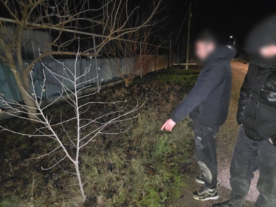 ������� ������������������ ������ �������� ���� ������� ������ ����������: 23 �������� � ���������� �� ����� �� ������������