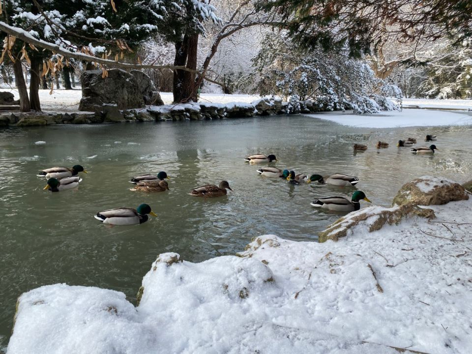 Прогноз погоды в Крыму на 23 января