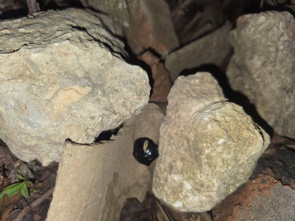 ���������� ��������� � ����������������� ������ � ������ 23 ������ � ����������