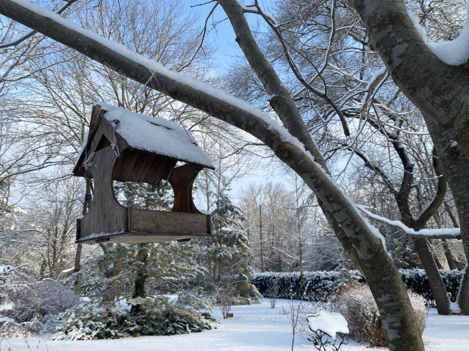 ����� ������ ��� ������� � ������ ����� 23 ������