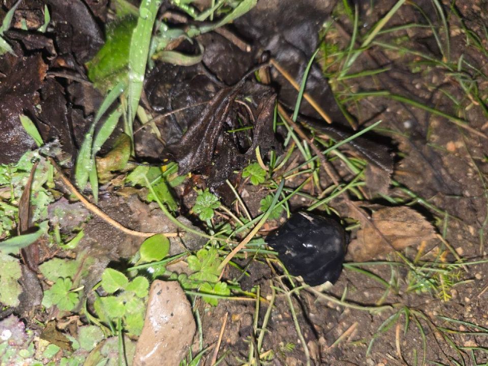 ������� ������������������ ������ �������� ���� ������� ������ ����������: 23 �������� � ���������� �� ����� �� ������������