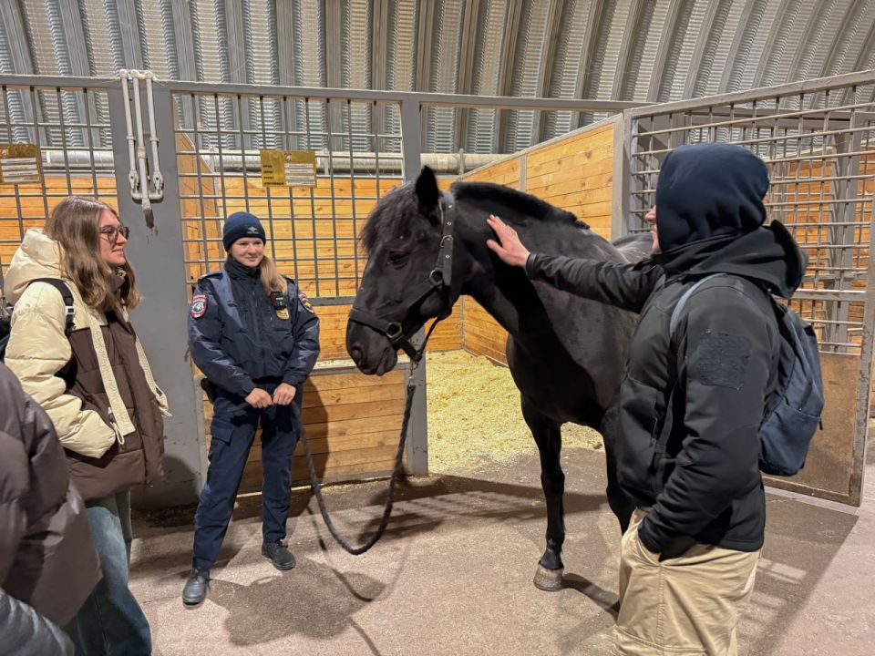 �������� �������. ����� ������: ������������ ��������� ��������������� �������